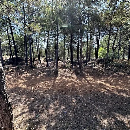 Apartmán Au Bord De